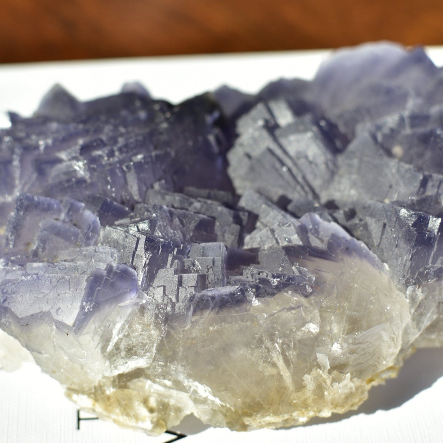 Purple Cubic Fluorite Statement Cluster