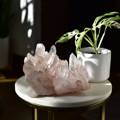 Himalayan Pink Samadhi Quartz Statement Cluster