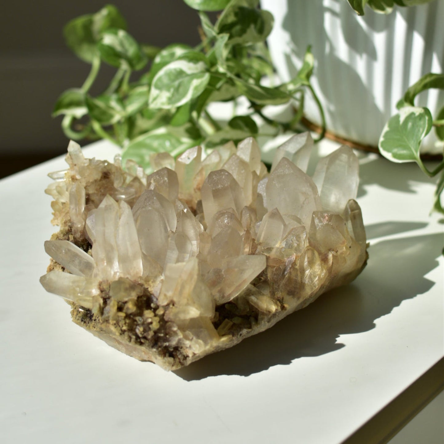 Himalayan Quartz Cluster