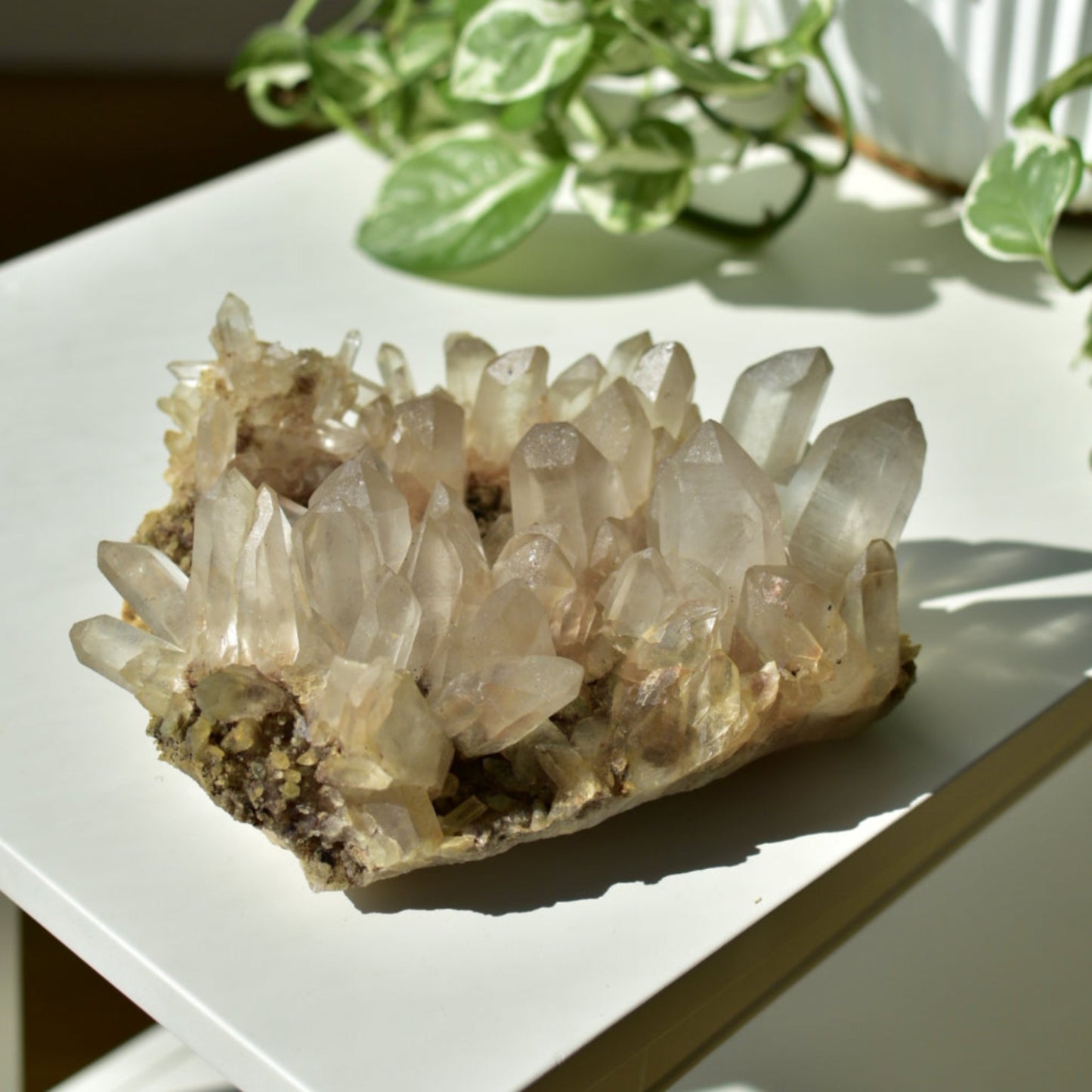 Himalayan Quartz Cluster