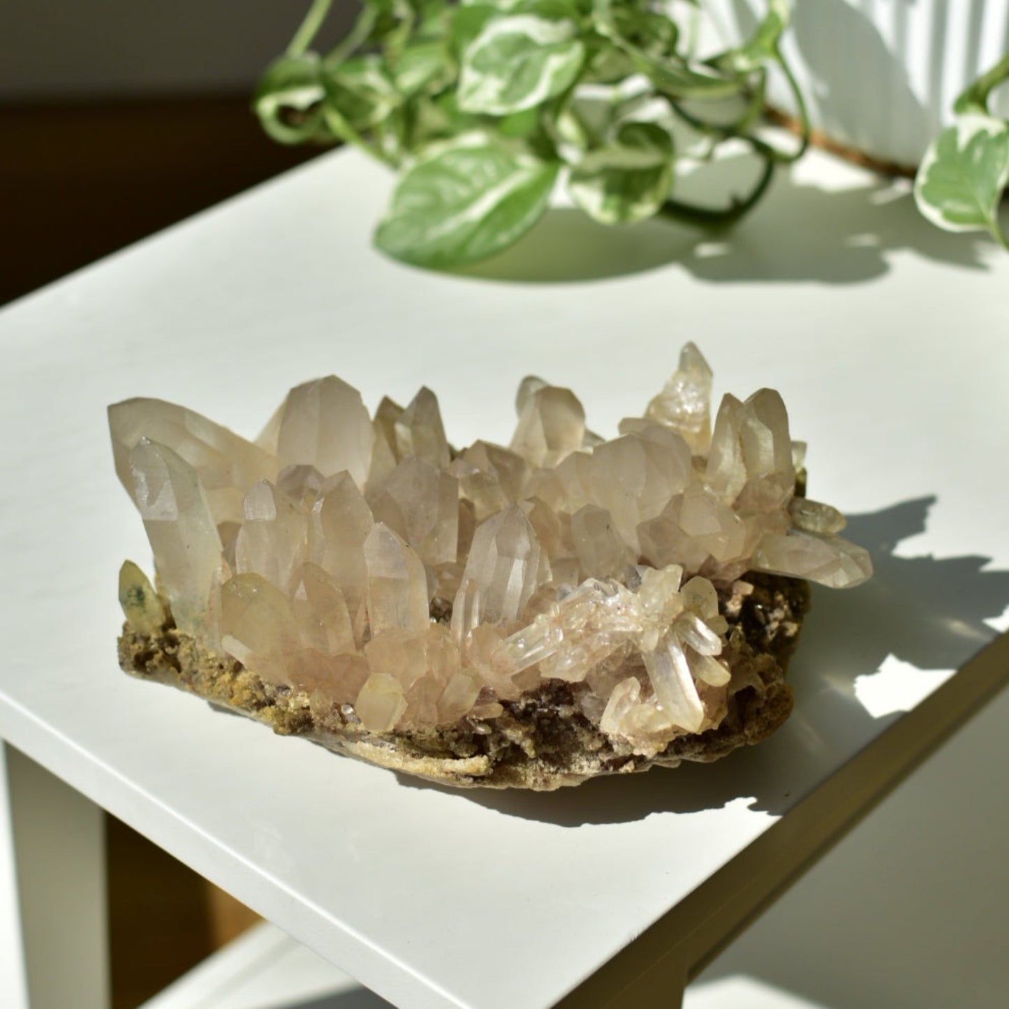 Himalayan Quartz Cluster