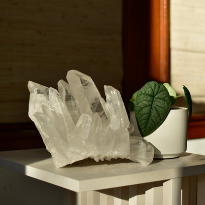 Lemurian Quartz Statement Cluster