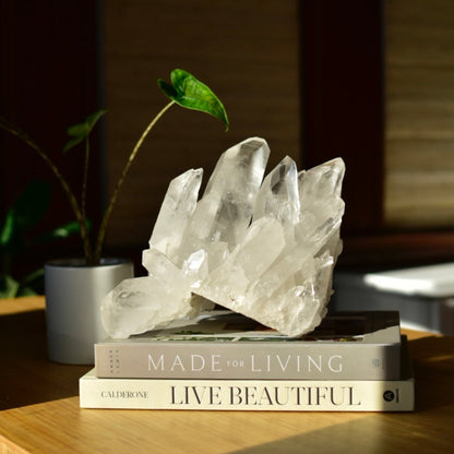 Lemurian Quartz Statement Cluster