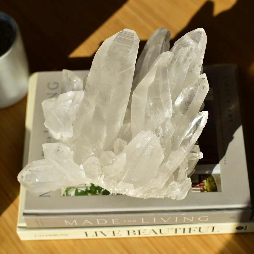 Lemurian Quartz Statement Cluster