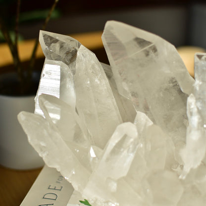 Lemurian Quartz Statement Cluster