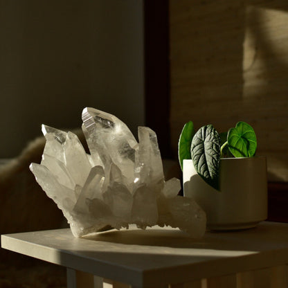 Lemurian Quartz Statement Cluster