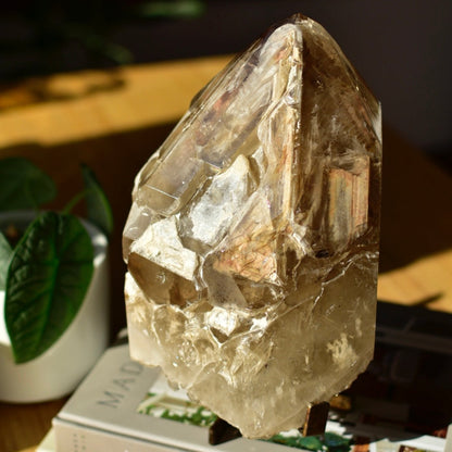 Elestial Quartz Statement Point with Custom Stand