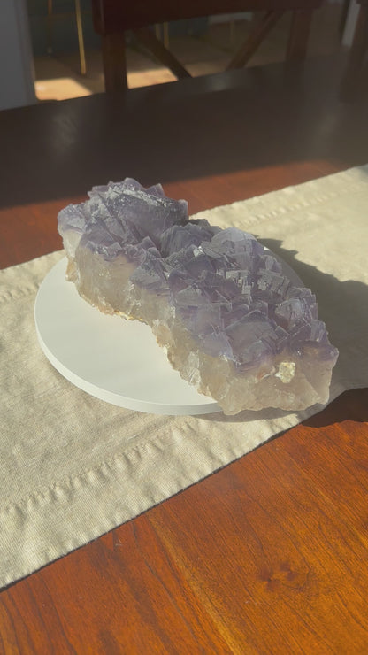 Purple Cubic Fluorite Statement Cluster