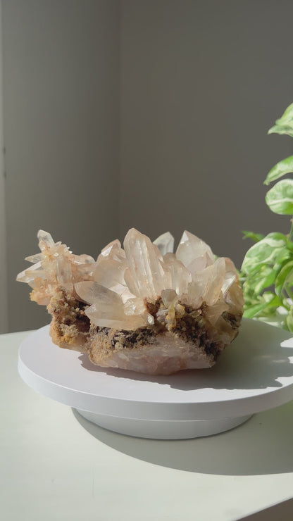 Himalayan Quartz Cluster