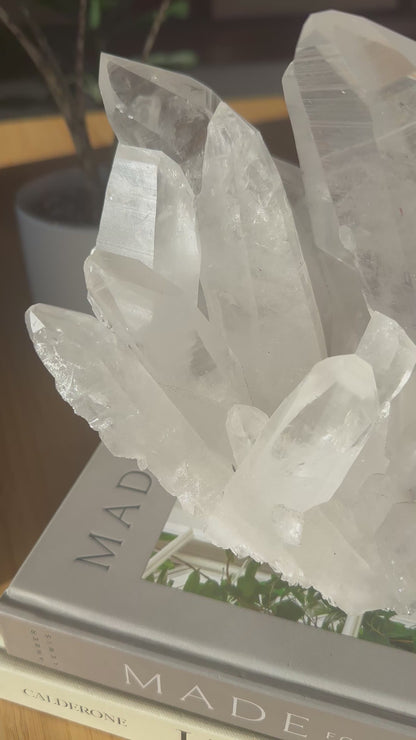 Lemurian Quartz Statement Cluster