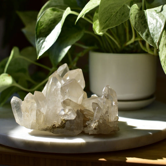 Himalayan Smoky Quartz Cluster