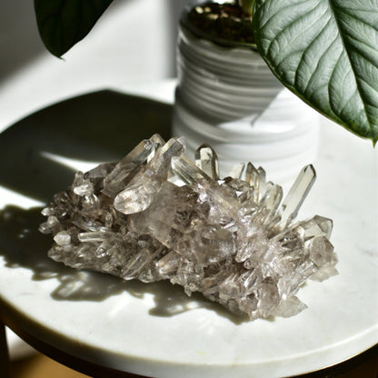 Smoky Quartz Cluster