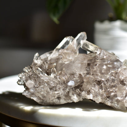 Smoky Quartz Cluster