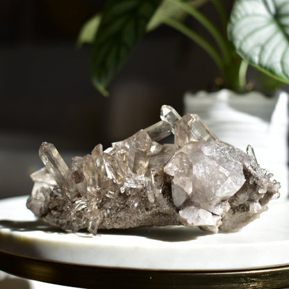 Smoky Quartz Cluster