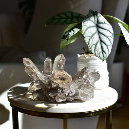 Smoky Quartz Statement Cluster