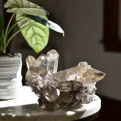 Smoky Quartz Statement Cluster