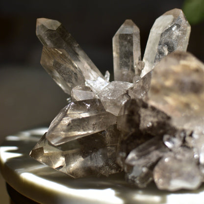 Smoky Quartz Statement Cluster